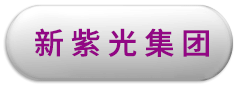 新紫光集團(tuán)